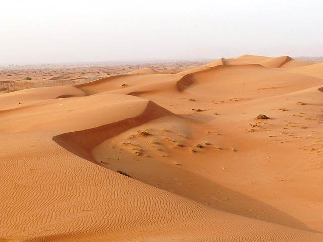 Dune Buggies: Explore Unforgettable Off-Road Tours in UAE