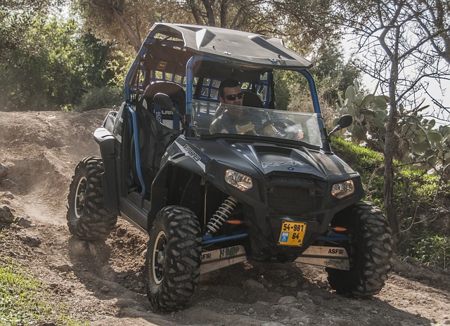 Dune buggy Al Barsha