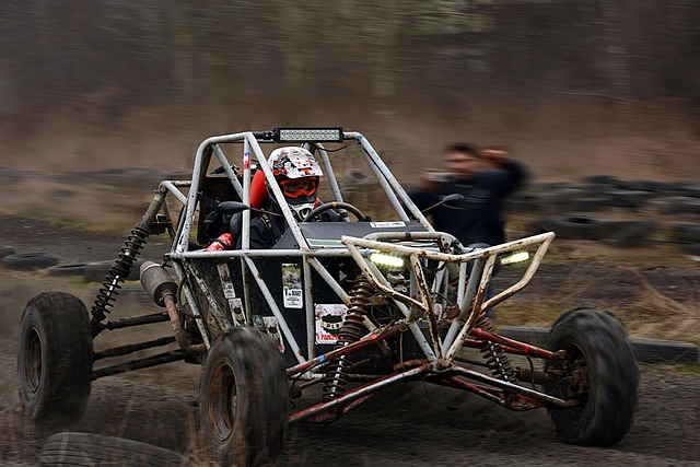 Dune buggy Discovery Gardens