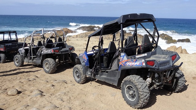 Dune buggy Discovery Gardens