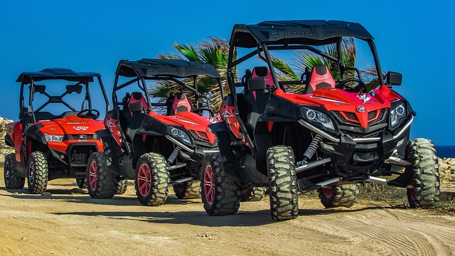 Dune buggy Discovery Gardens