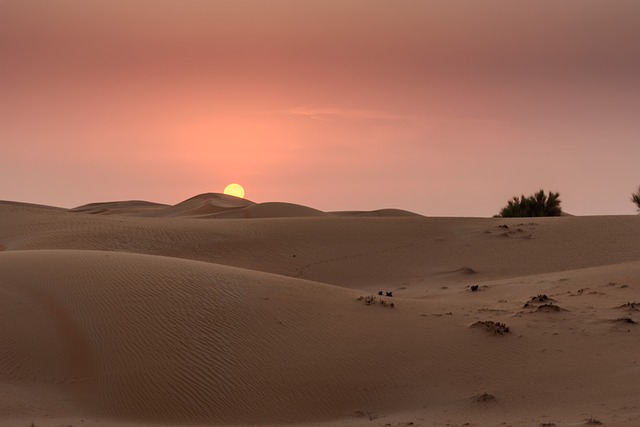 dune buggy dubai