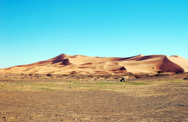 dune buggy experience