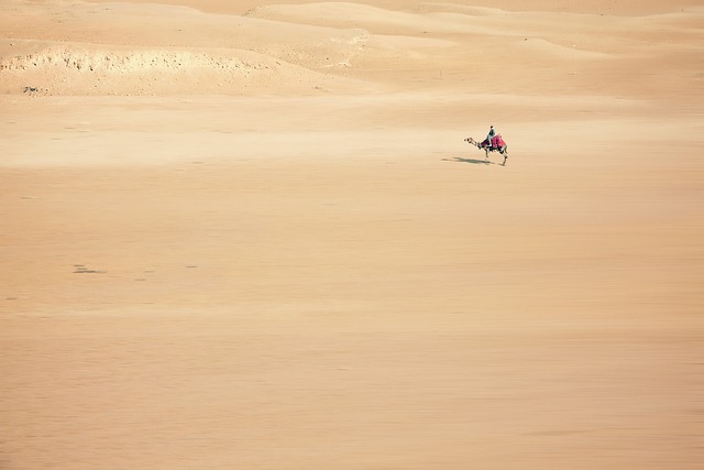 Dune buggy Jumeirah