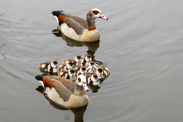 Family Tour Packages