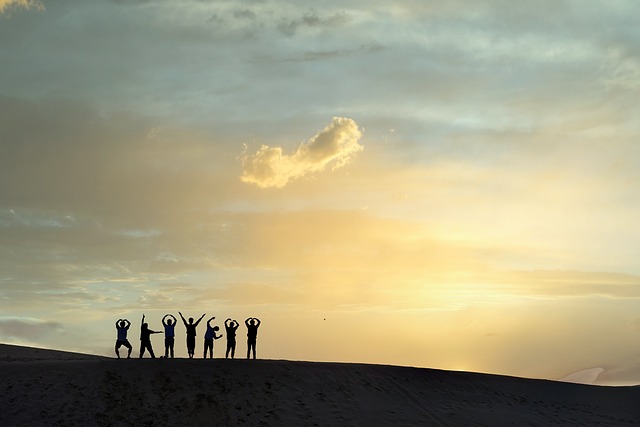 Friends Group Desert