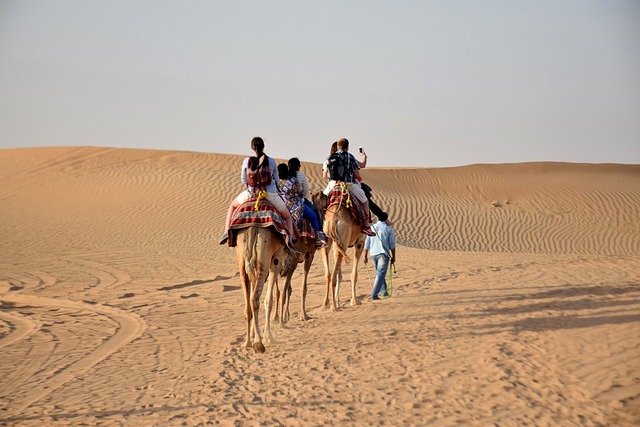 Explore Hatta Adventure Park: Dubai’s Outdoor Oasis