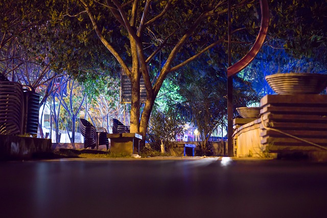 Hatta Romantic Tour Dubai: Private Glamping for Couples