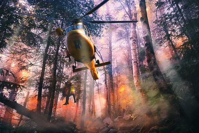 Helicopter