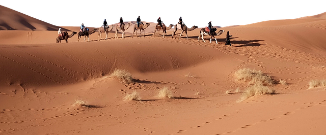 Kids-Friendly Desert