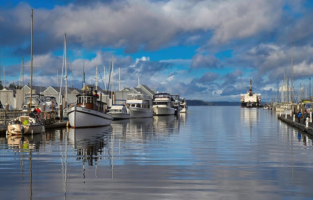 marina boat