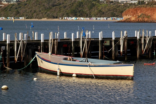 marina boat