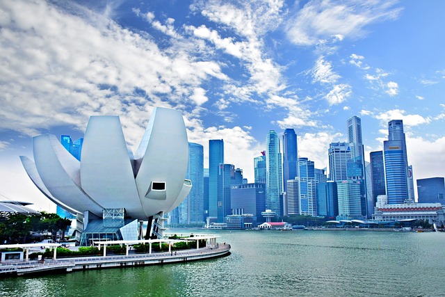 Marina Skyline Helicopter