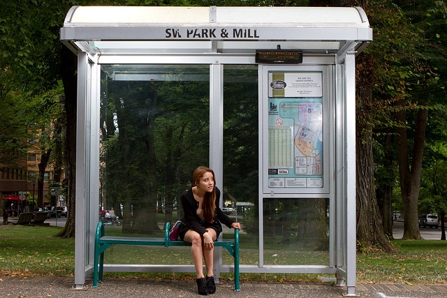 mini bus rent