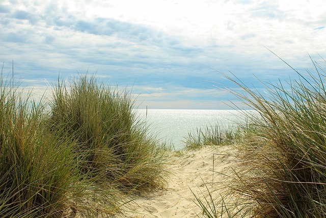 Polaris Dune