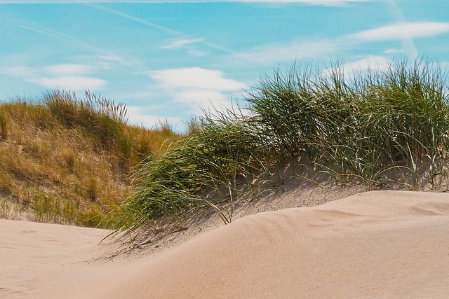 polaris-dune-640x480-6514662.jpeg
