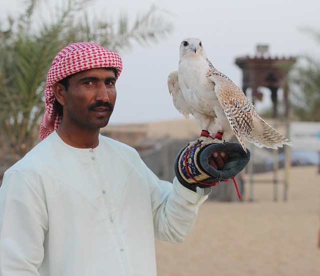 quad dubai desert