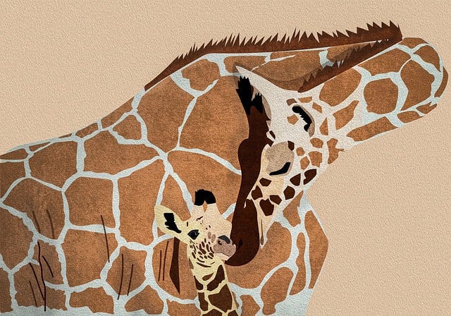 Safari