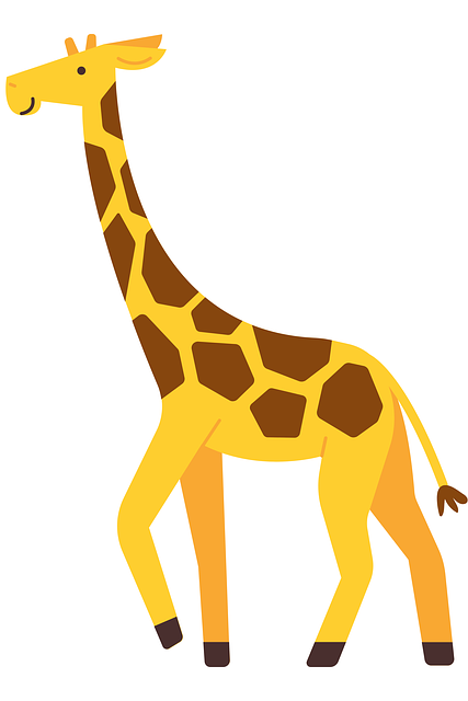 Safari