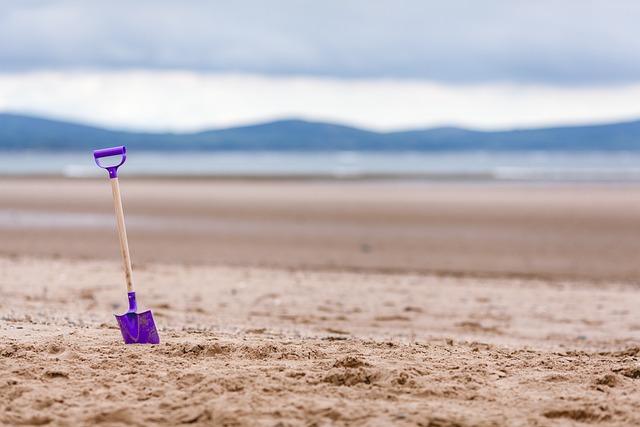 sand buggy