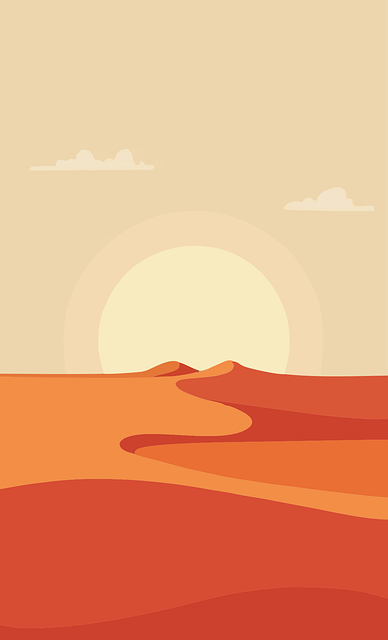 sand buggy