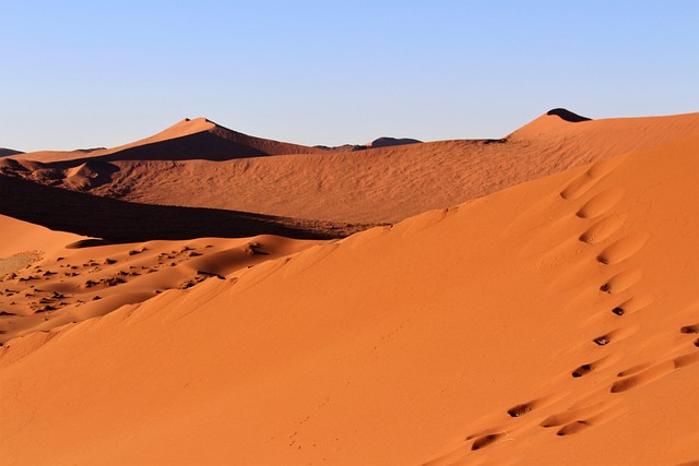 sand dune buggy