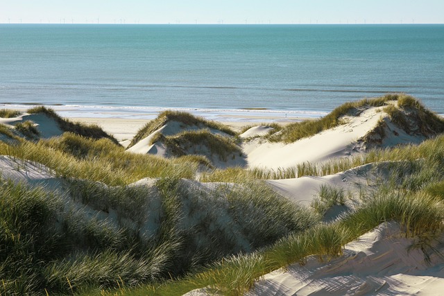 sand dune buggy