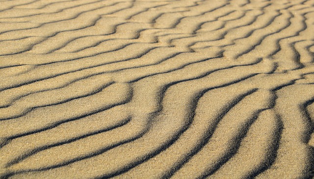 sand dune buggy