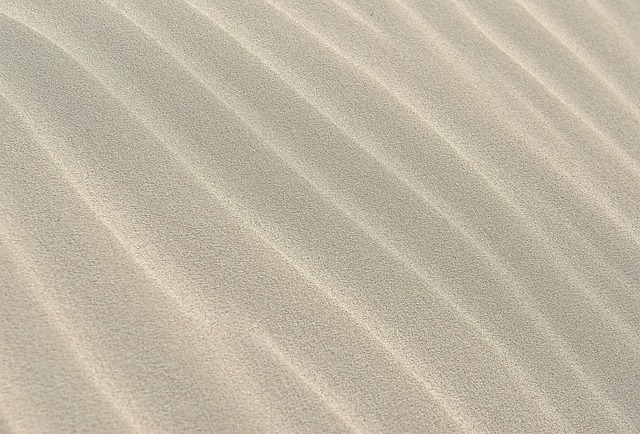 sand dune buggy