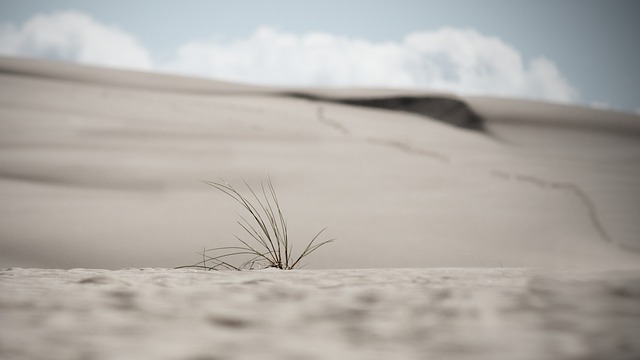 sand dune buggy