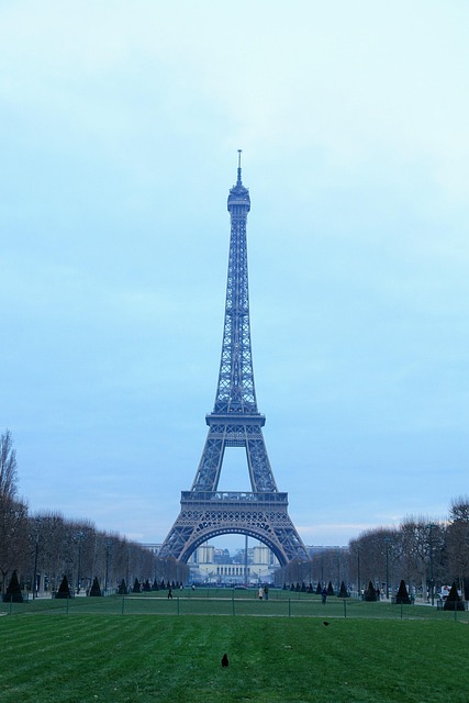 Sightseeing Tours