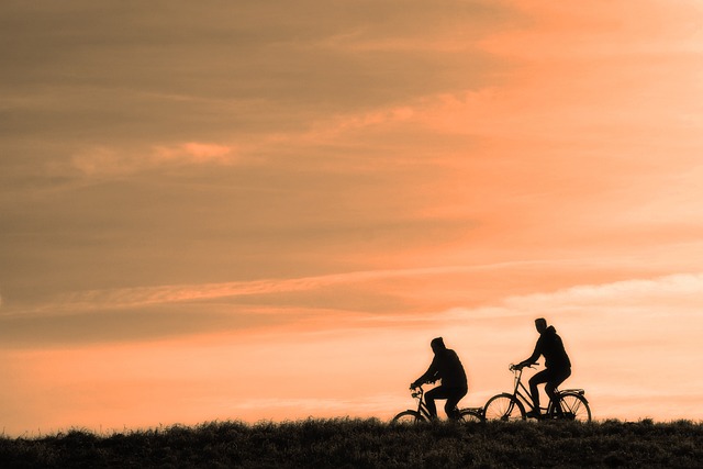 Sky Rides