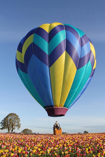 Sunrise Hot Air Balloon