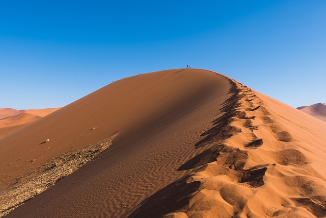 Transforming Teams: Collaborative Sandboarding Adventures in Dubai’s Desert