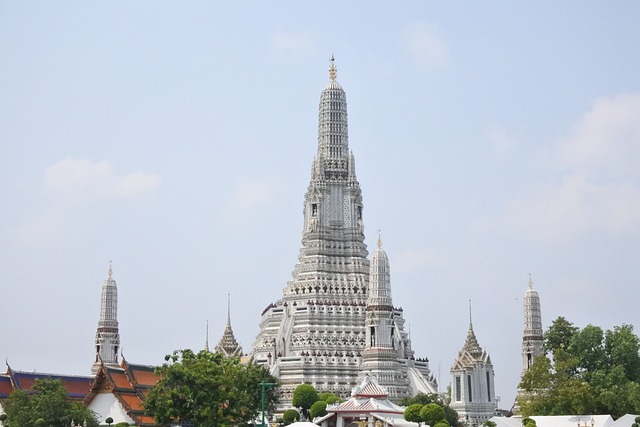 Tour and Travel Company