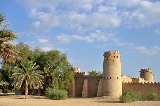 transfer dubai to abu dhabi