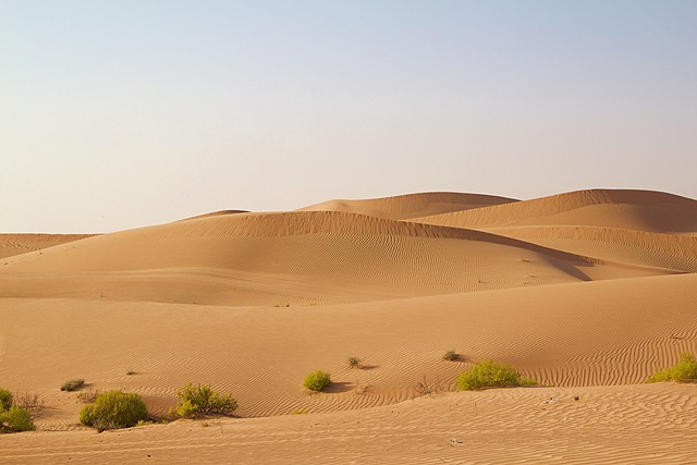transfer from abu dhabi to dubai