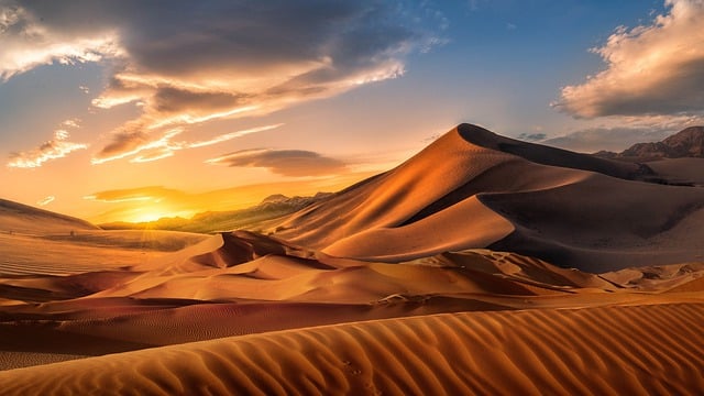 VIP Desert Safari Dubai Deals: An Exclusive Unveiling