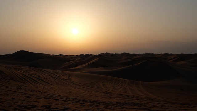 abu dhabi half day tour