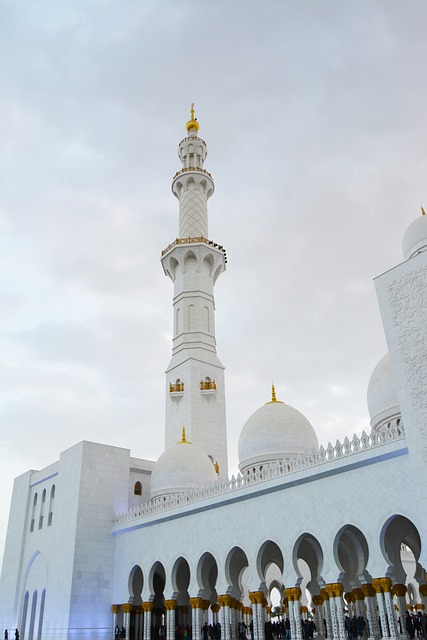 Half-Day Abu Dhabi Tour: Exploring Sheikh Zayed Mosque’s Iconic Beauty