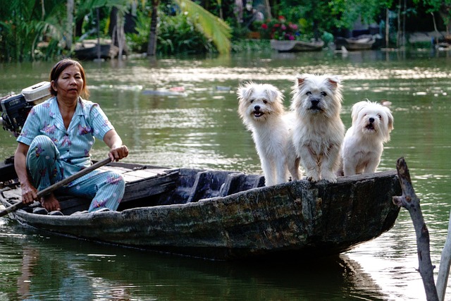 any boat
