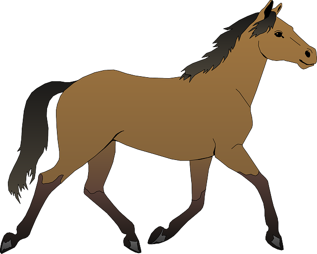 Arabian Ranches