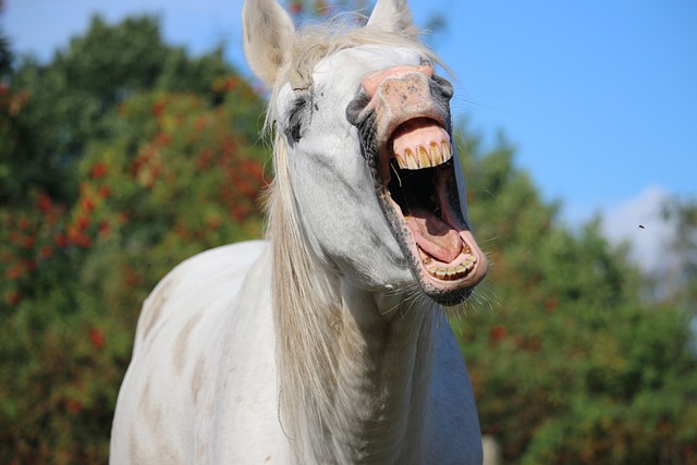 Arabian Ranches