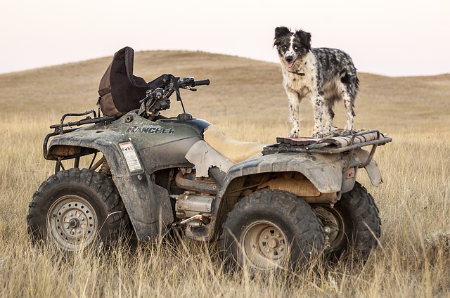 atv dubai