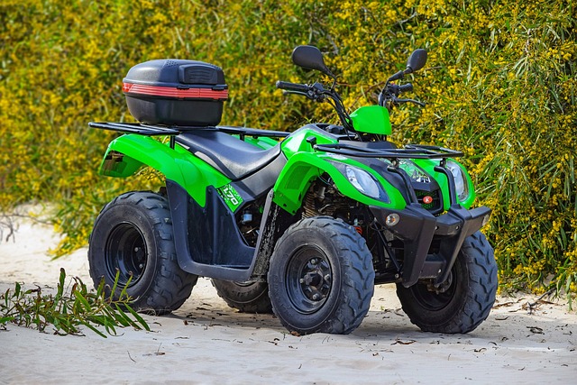 atv rental