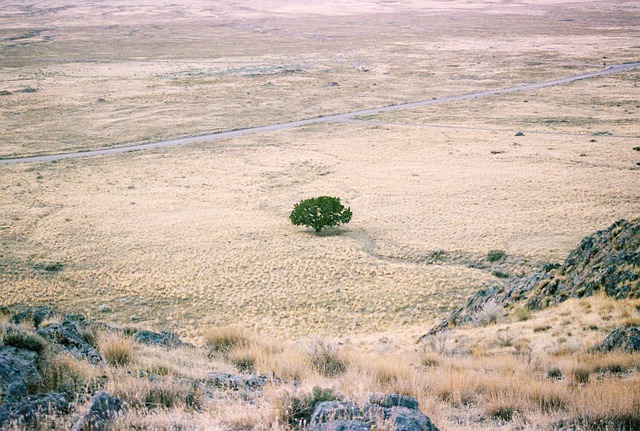 balloon desert