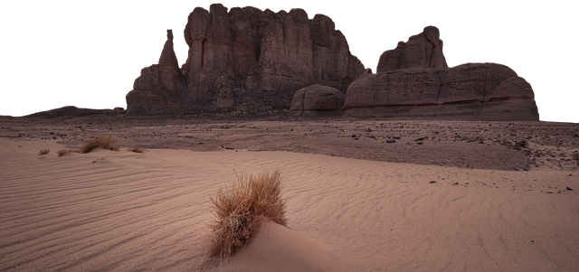 biking desert