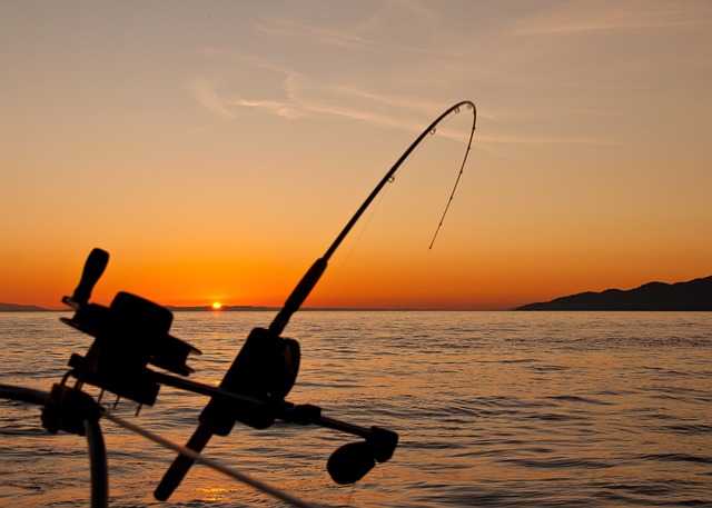 Boat Charter Experiences