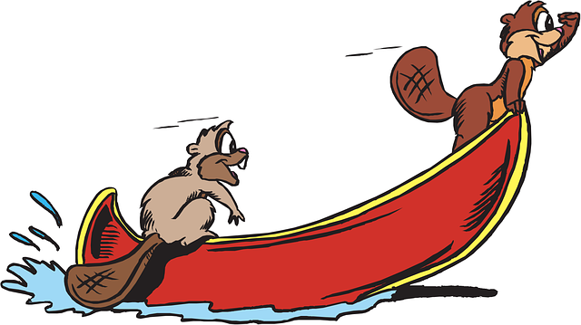 boat rental