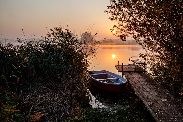 Boat Tours